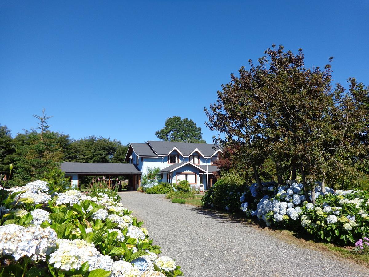 Hostal Tia Lety Villarrica Exteriör bild